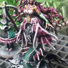 Picture of print of Minun The Scholar - Dual Form (Mermaid) Mini