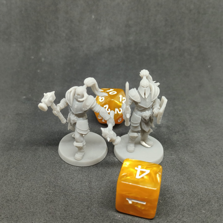 3D Printable Loyalty Reward 03 Months - Twin Lion Knights by Imagine Minis