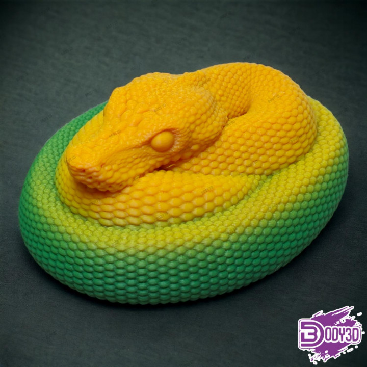 Coiled Snake image