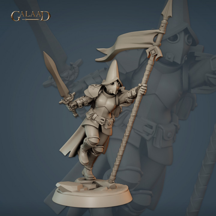 Vanguard fighter banner