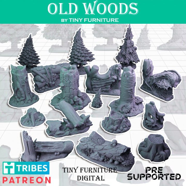 Old Woods