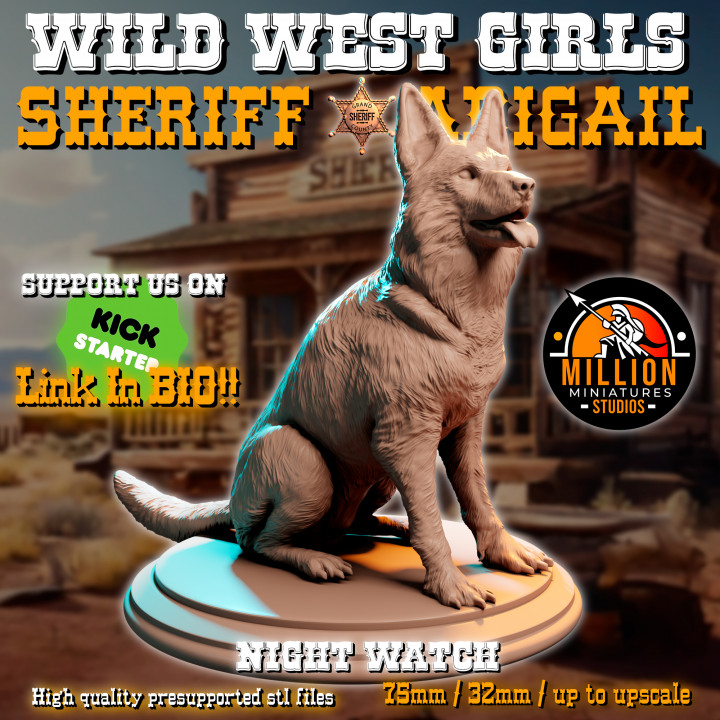 Sheriff Abigail - Night Watch image
