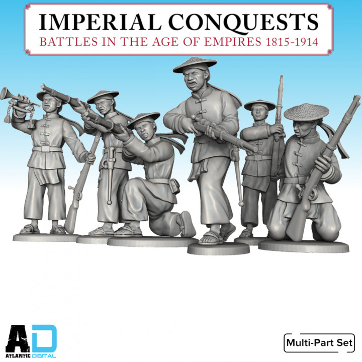 Imperial Conquests Tirailleurs Indochinois image