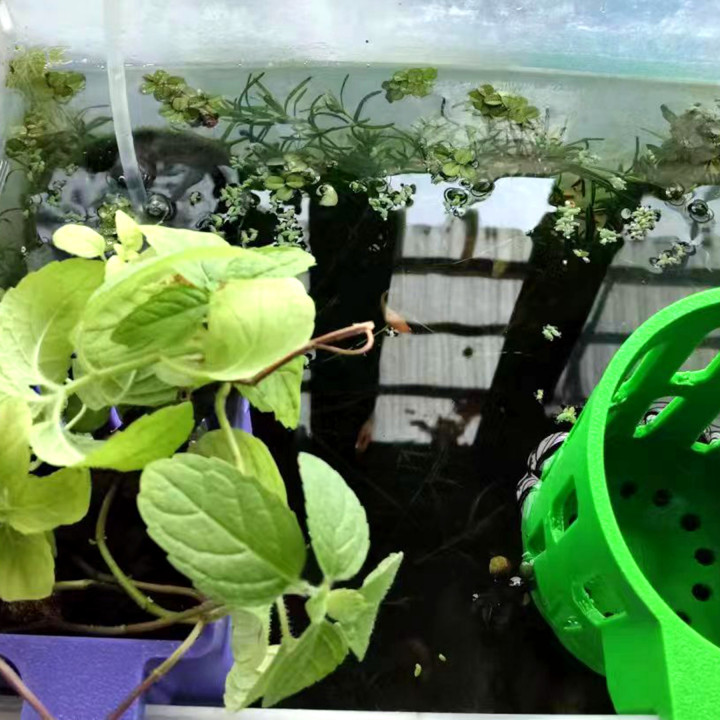 Hydroponic Plant Basket image