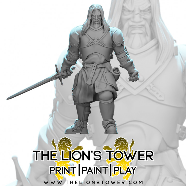 Mercenary Company Hector - in Platemail
