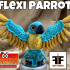 May Exclusive Flexi Parrot (PAID) print image