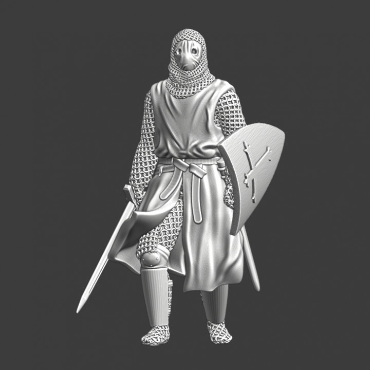 Medieval Knight of The Lazarus Order - Leper knights image