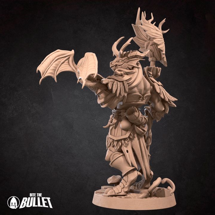 3D Printable Dragonborn Druid by Bite the Bullet