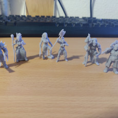 Picture of print of Nap Miniatures - April release - Orc Tribes