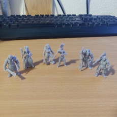 Picture of print of Nap Miniatures - April release - Orc Tribes