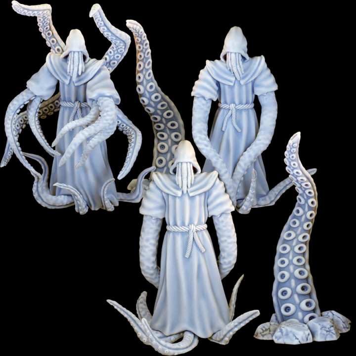 Squid Cultists - Murderous Tabletop Cultists Collection Vol.I image