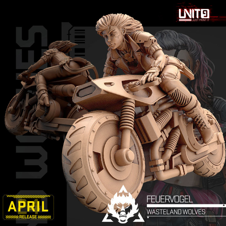 Cyberpunk - FeuerVogel on motorbike - Wasteland Wolves