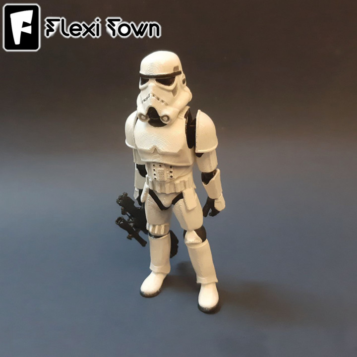 Flexi Print-in-Place Stormtrooper image