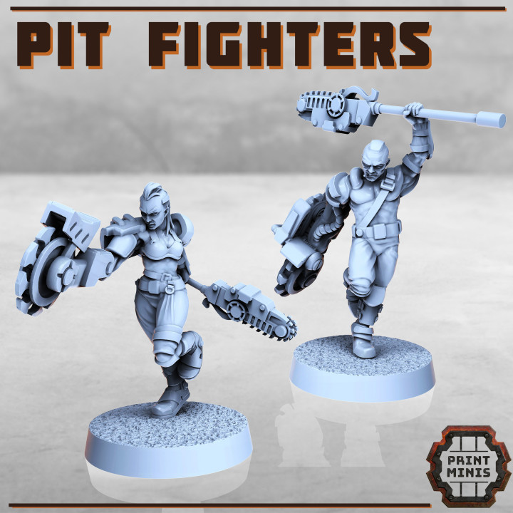 Pit Fighters x2 image