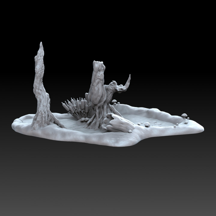 Swamp Terrain