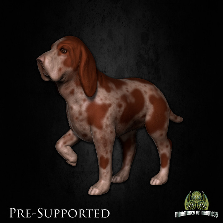 Rusty The Dog [PRE-SUPPORTED]