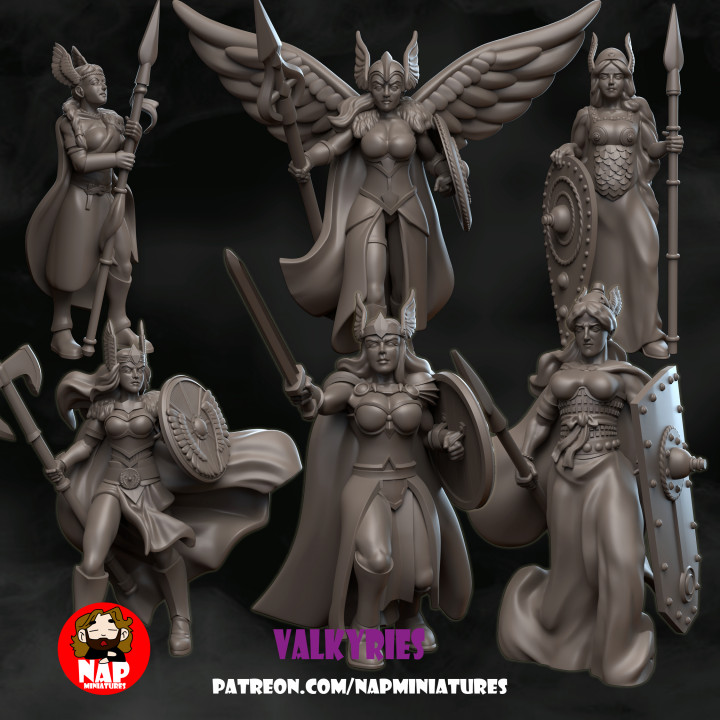 Nap Miniatures - March release - Valkyries