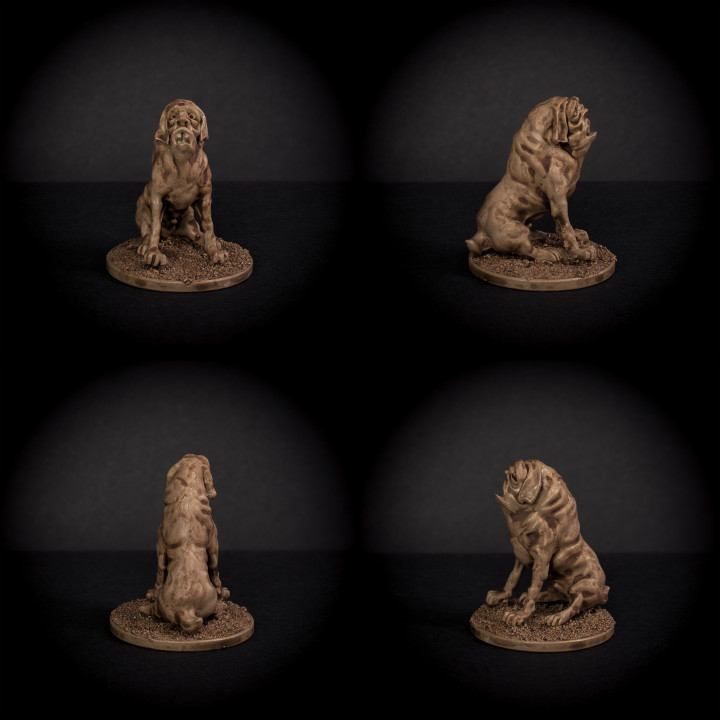 Man Hounds - Pack of 5 image