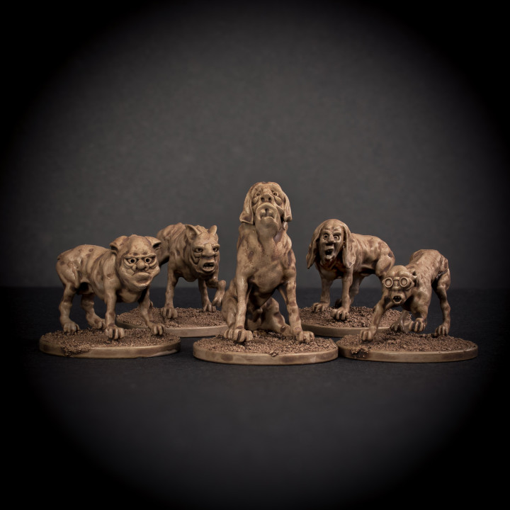 Man Hounds - Pack of 5 image