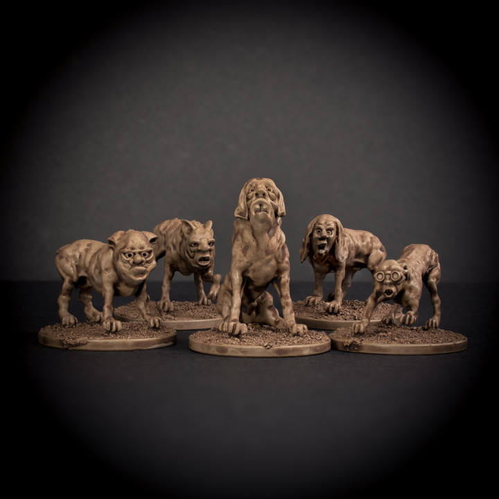 Man Hounds - Pack of 5