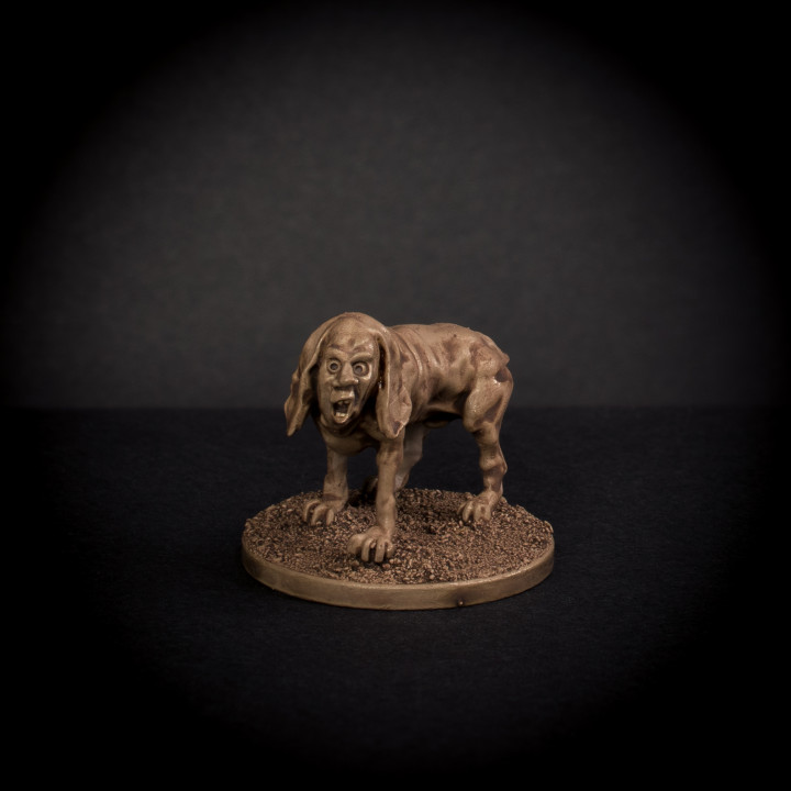 Man Hound - Knopf image