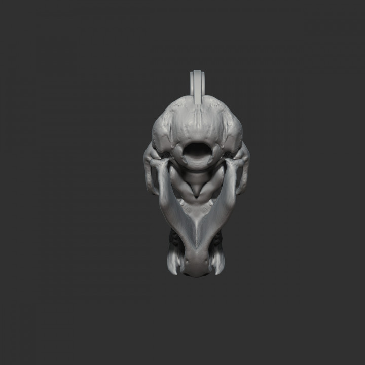 Key chain, baboon skull image