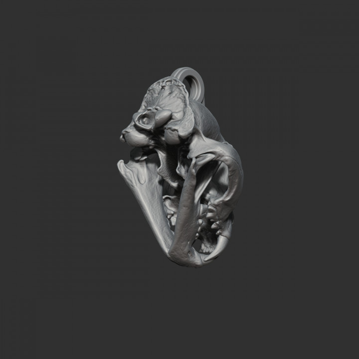 Key chain, tiger skull image