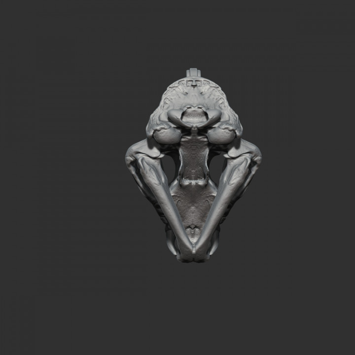 Key chain, tiger skull image