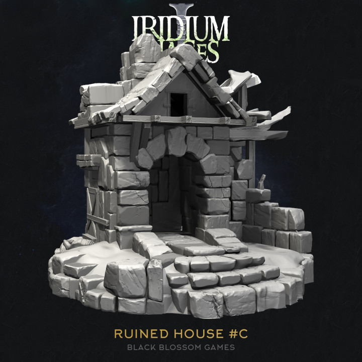 IDP01S15 Ruined House C :: Iridium Places 1 :: Black Blossom Games image