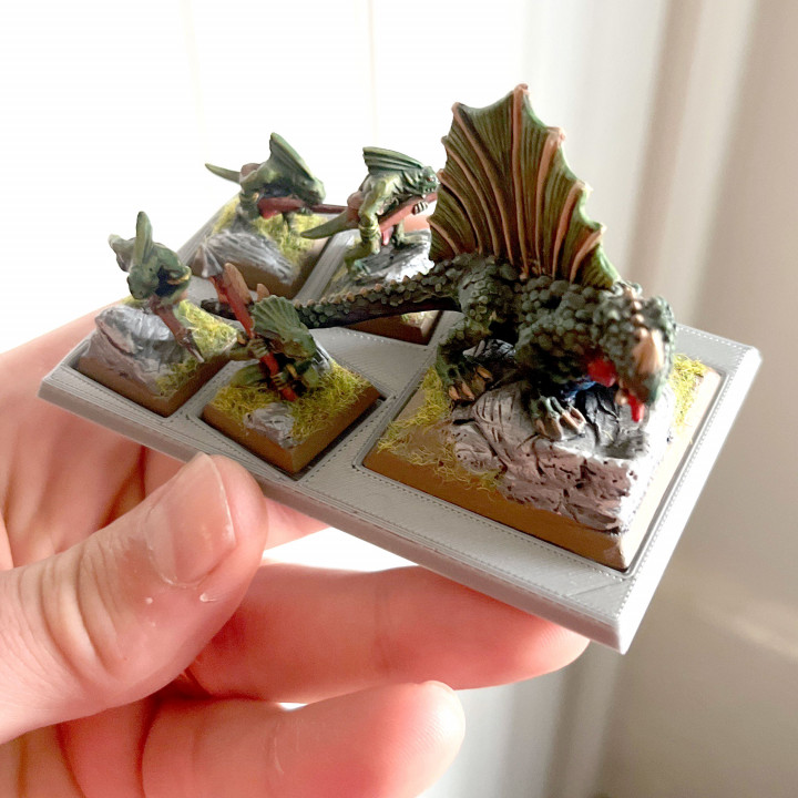 Beast Handler Skirmish Tray -  40mm & 20mm (Salamander) image