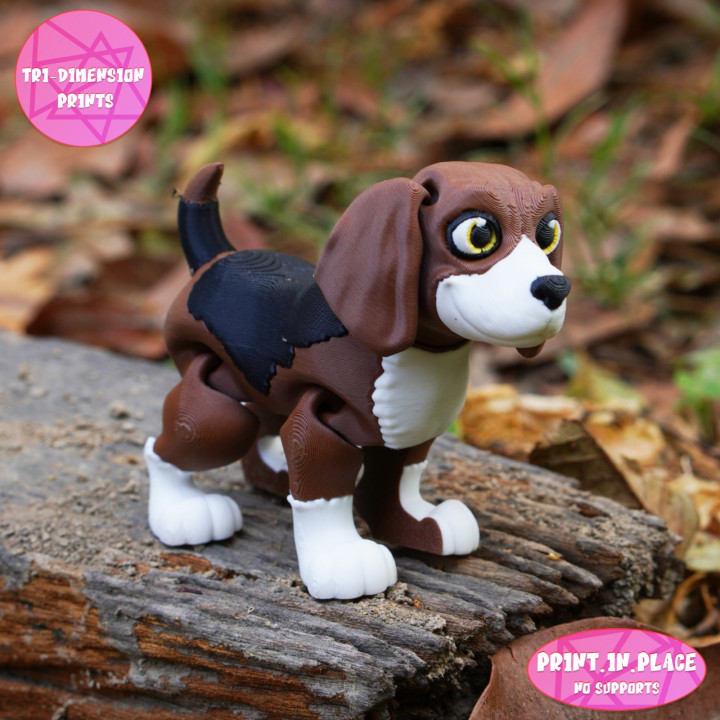 FLexi Beagle Dog image