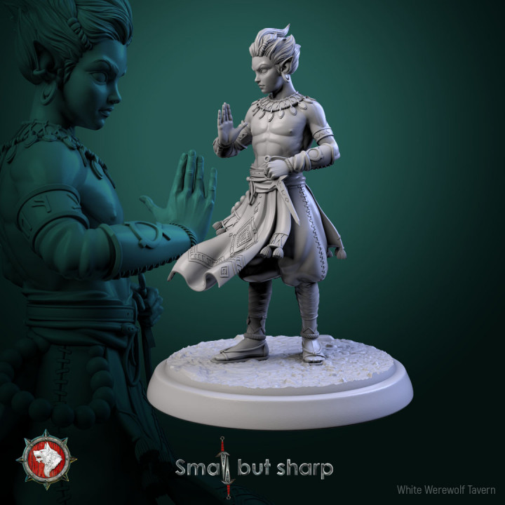 3D Printable Halfling Monks 32mm set 6 miniatures pre-supported by ...