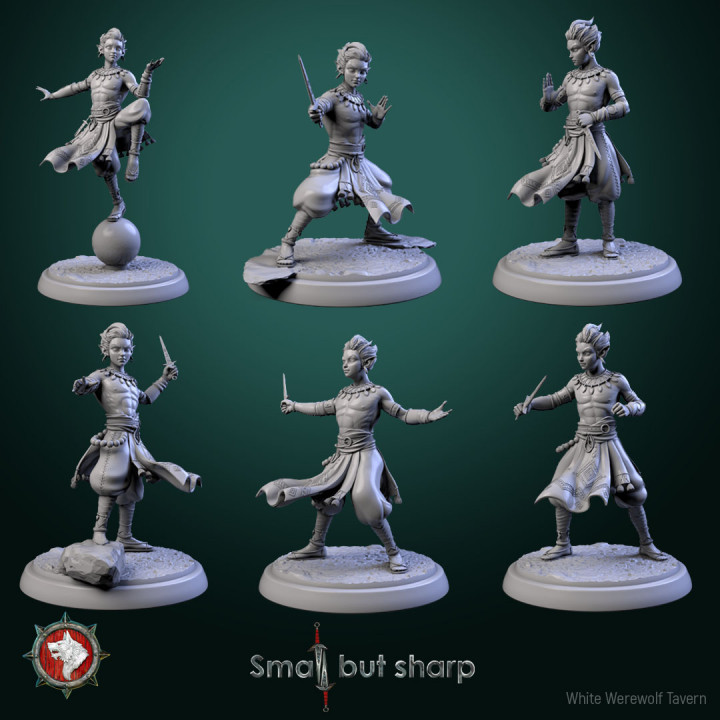 Halfling Monks 32mm set 6 miniatures pre-supported