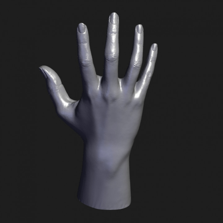 Hand - 3D Scanned by Revopoint MIRACO image
