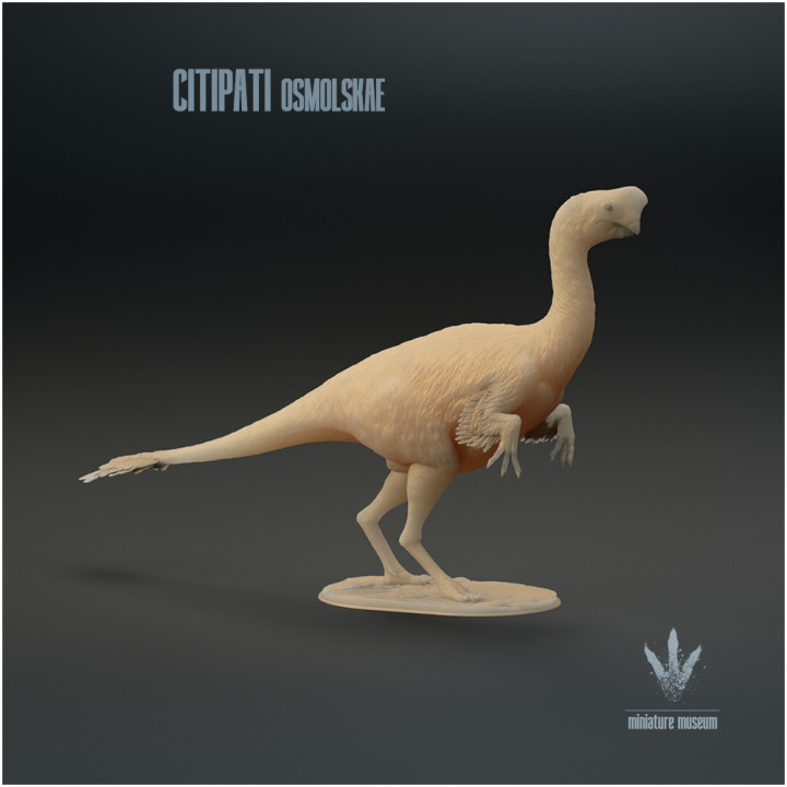 Citipati osmolskae : Mongolian Oviraptor image