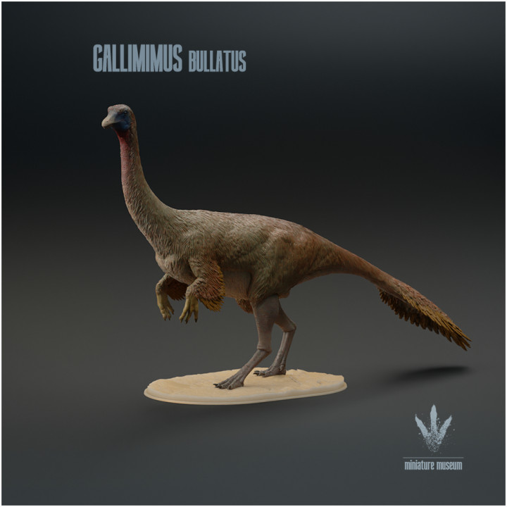 Gallimimus bullatus : The Chicken Mimic image