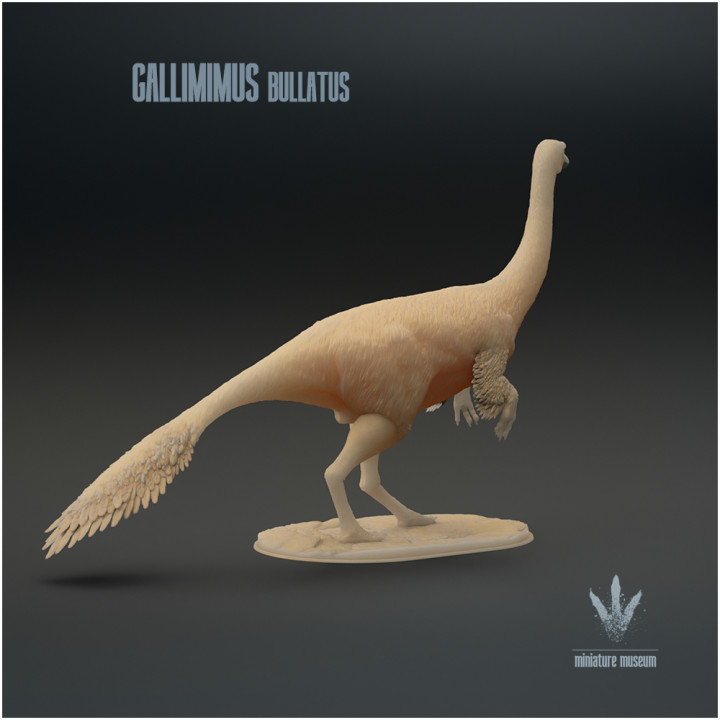 Gallimimus bullatus : The Chicken Mimic image
