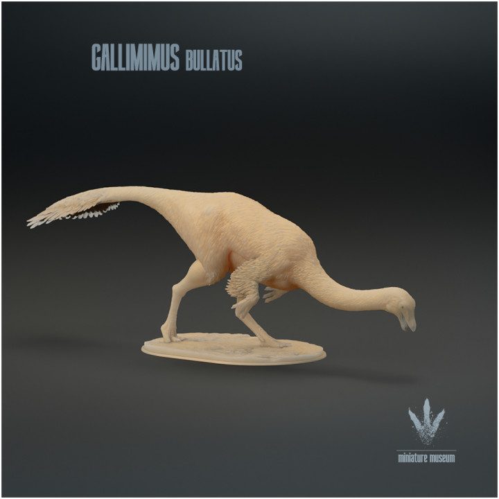 Gallimimus bullatus : Feeding image