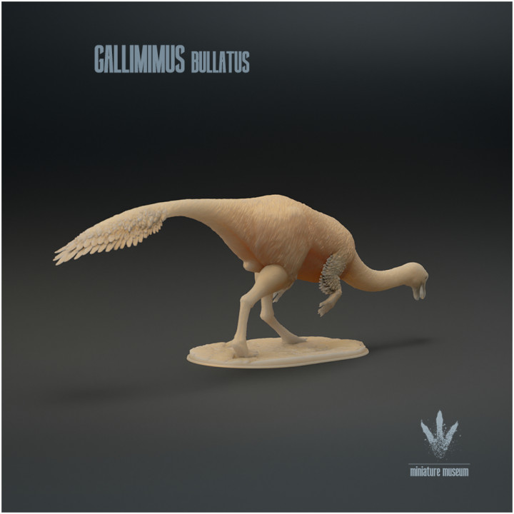 Gallimimus bullatus : Feeding image