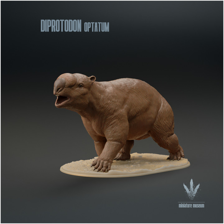 Diprotodon optatum : Walking
