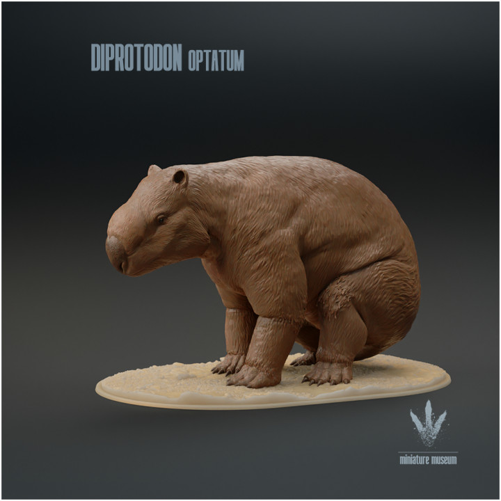 Diprotodon optatum : Sitting