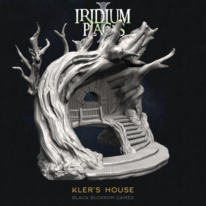 IDP01S10 Kler's House :: Iridium Places 1 :: Black Blossom Games image