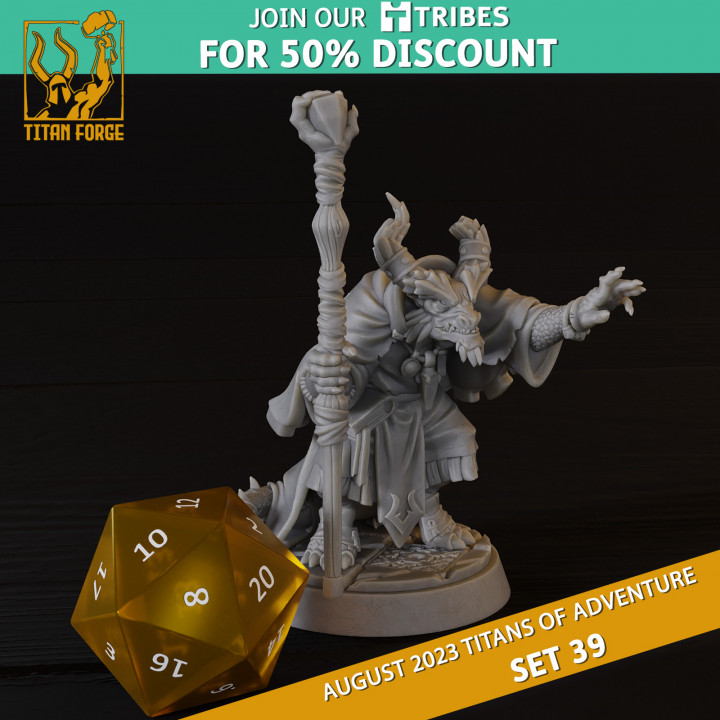 3D Printable Dragonborn Male Sorcerer - RPG Hero Character D&D 5e ...