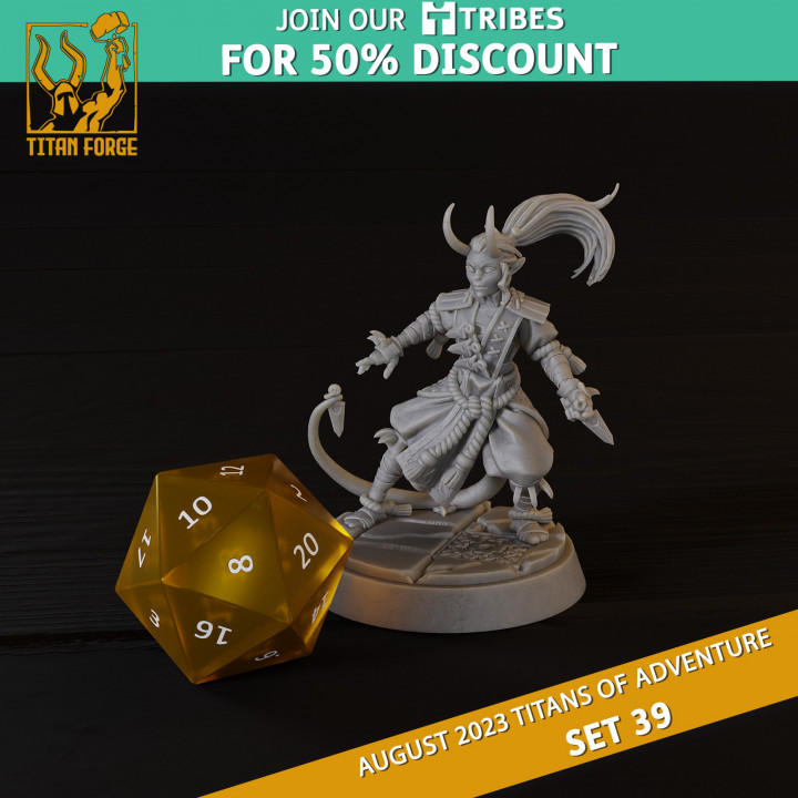 3D Printable Tiefling Female Monk - RPG Hero Character D&D 5e - Titans ...