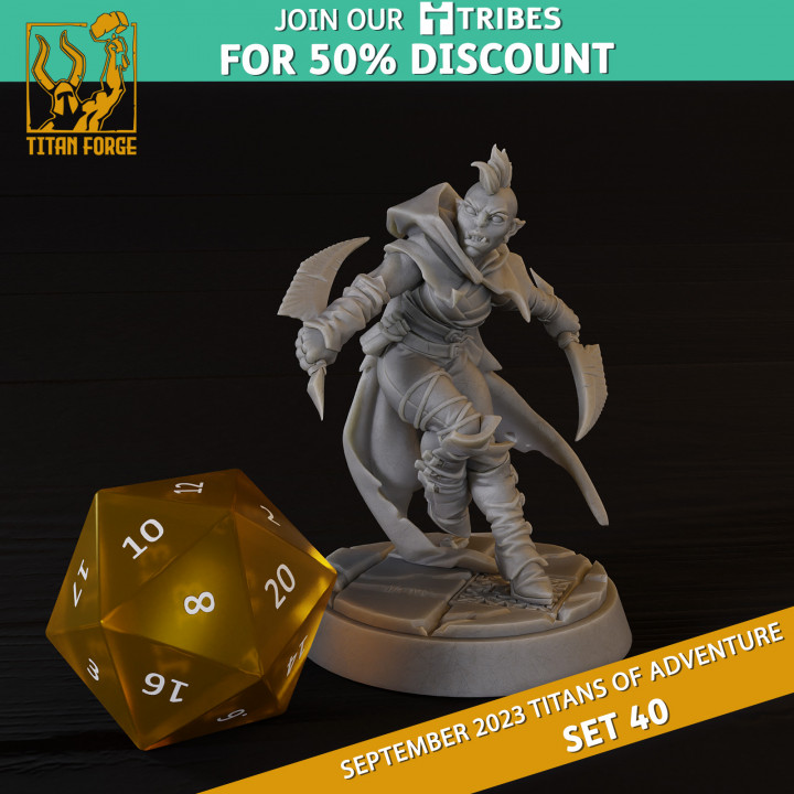 3D Printable Half-Orc Female Rogue - RPG Hero Character D&D 5e - Titans ...