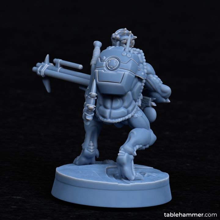 Toorts infantry squads (modular & poseable) image