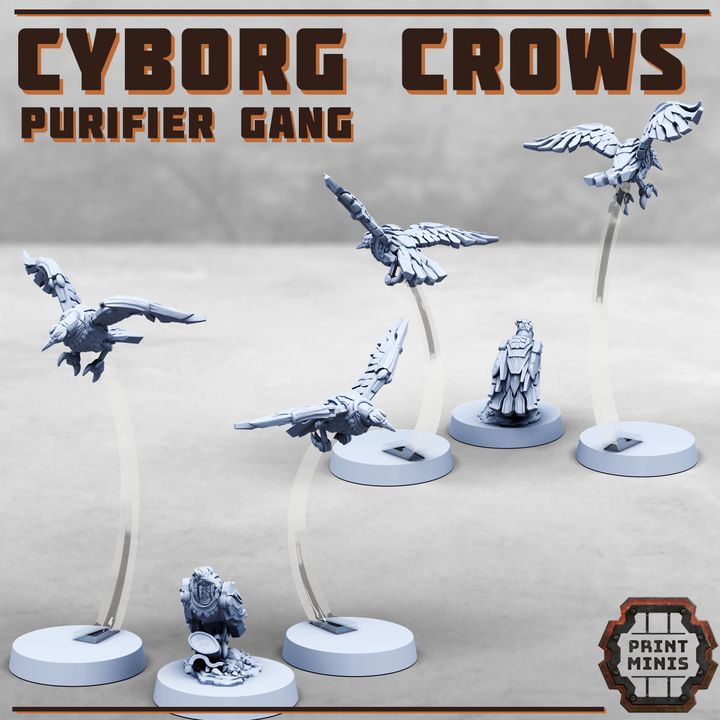 Cyborg Crows x3