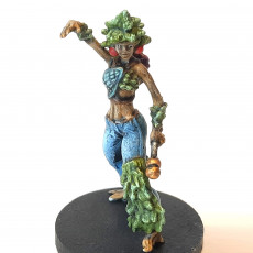 Picture of print of Douglas - A Female Mutant Fir Tree Plantient