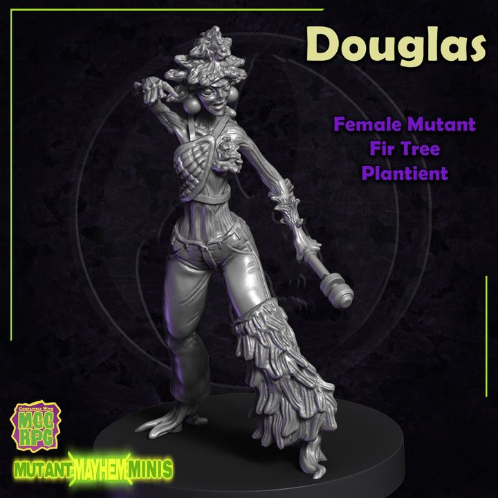 Douglas - A Female Mutant Fir Tree Plantient image