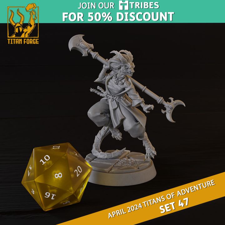 3D Printable Dragonborn Female Monk - RPG Hero Character D&D 5e ...